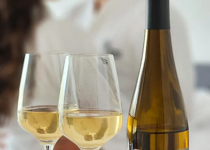 Monte Prado & Hotel Melgaço