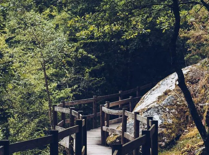 Hotel Monte Prado Hotel&spa